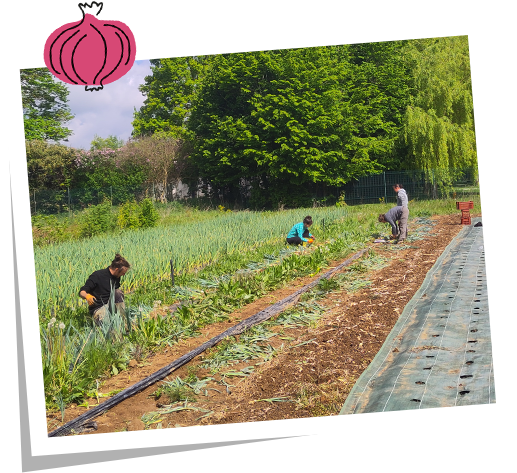 L'équipe au travail